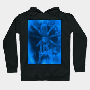 Tarantula Spiderling V1 Hoodie